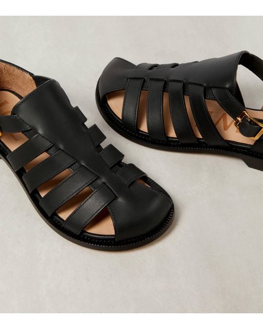 Loewe Black Campo Leather Sandals