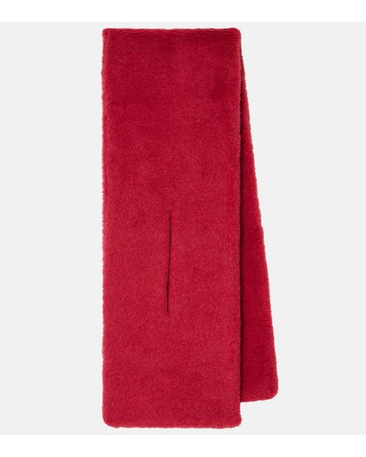 Sciarpa Full di Max Mara in Red