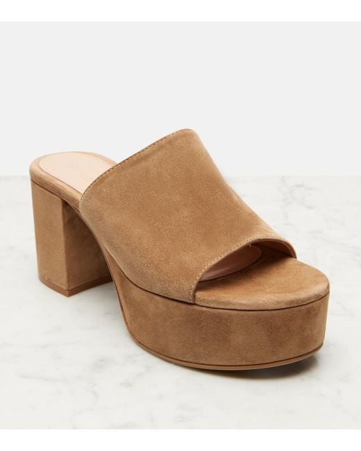 Gianvito Rossi Brown Suede Platform Mules