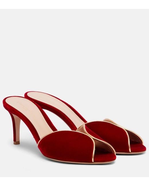 Gianvito Rossi Red 70 Leather-Trimmed Velvet Mules