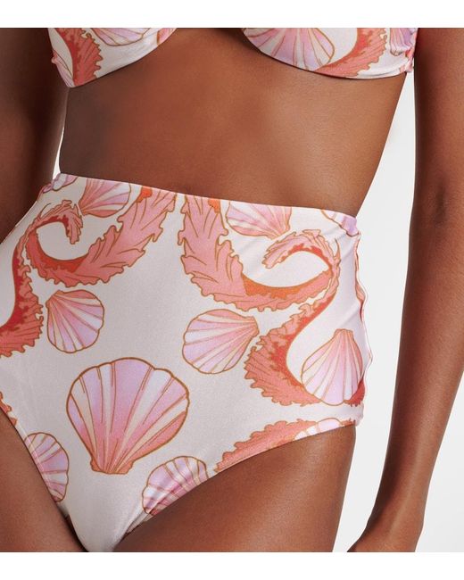 Bikini Seashell A Vita Alta di Adriana Degreas in Pink