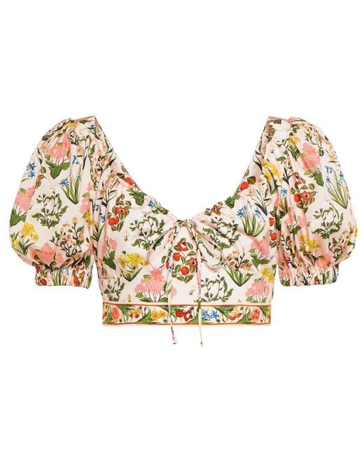 Agua Bendita Multicolor Floral-print Cropped Top