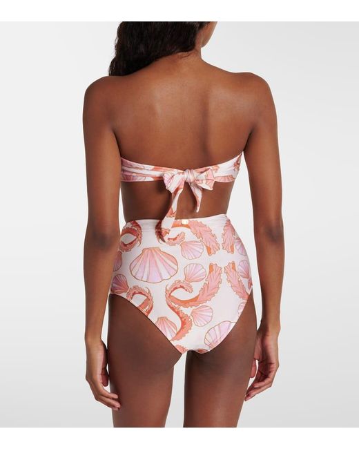 Bikini Seashell A Vita Alta di Adriana Degreas in Pink