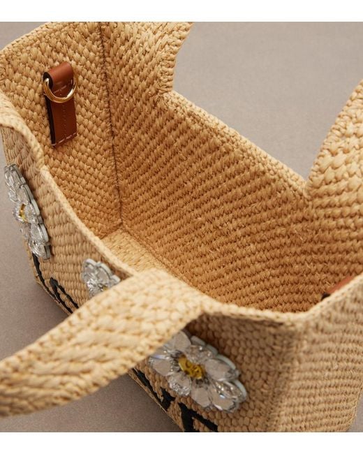 Loewe Metallic Paula's Ibiza Embellished Raffia Top-Handle Bag