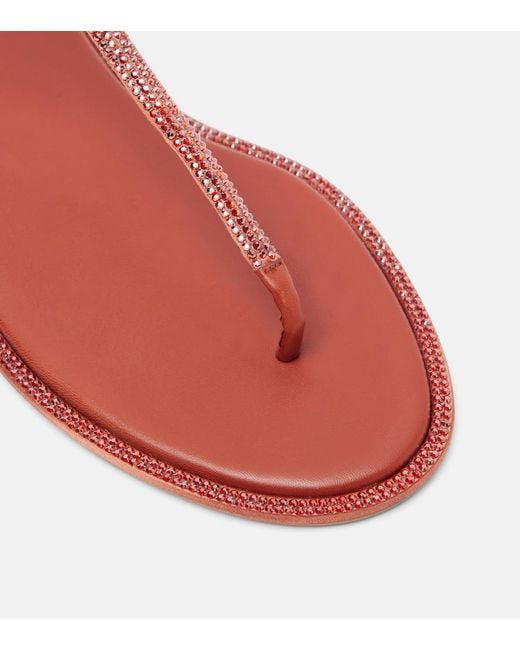 Rene Caovilla Pink Diana Embellished Satin Thong Sandals