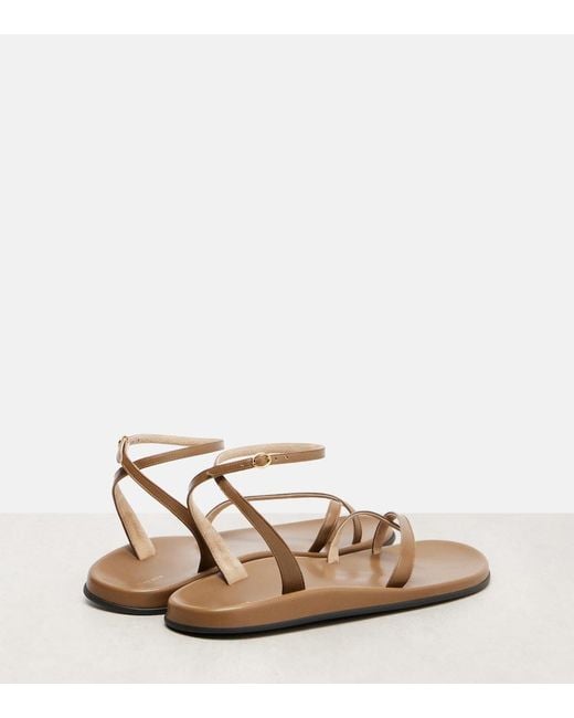 The Row Brown Hugh Leather Sandals