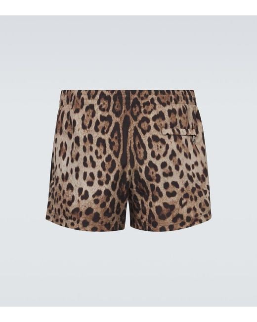 Dolce & Gabbana Brown Leopard-Print Swim Trunks for men