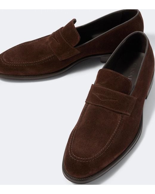Canali Brown Suede Penny Loafers for men