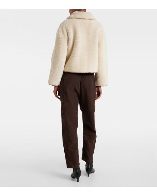 Velvet Brown Laney Cotton Straight Pants
