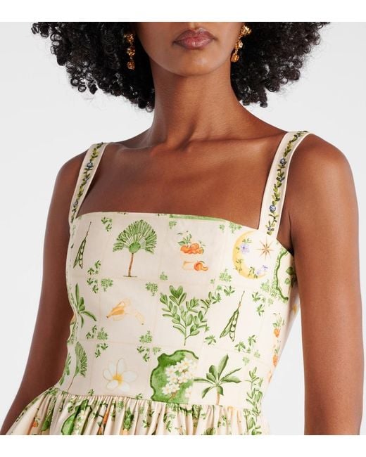 Agua Bendita Metallic Lima Floral Cotton-Blend Minidress