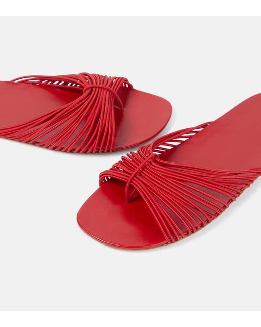 The Row Red Sara Slides