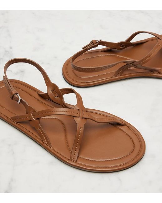 The Row Brown Malick Strap Leather Sandals
