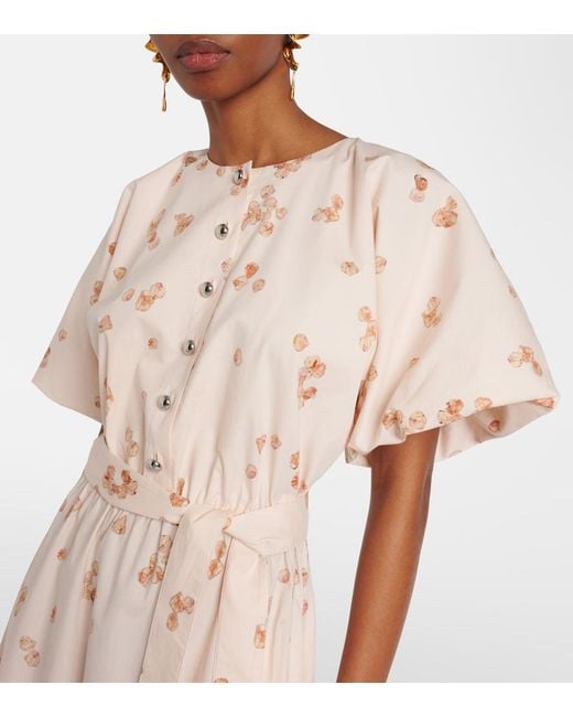 Altuzarra Natural Paulina Floral Belted Cotton-Blend Midi Dress