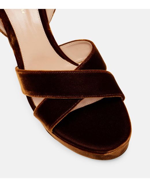 Gianvito Rossi Brown Sabrina 105 Velvet Platform Sandals