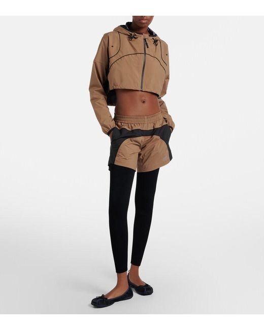 Balenciaga Brown Colorblocked Taffeta Shorts