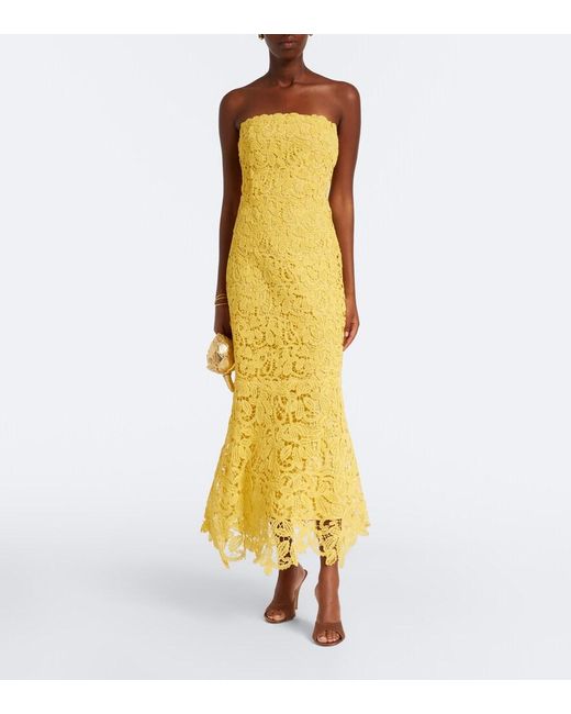 jonathan simkhai yellow lace dress Imogen Cotton Lace Bustier Midi Dress