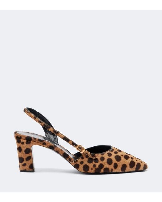 Herbert Levine Brown Ask Around Calf Hair Slingback Pumps