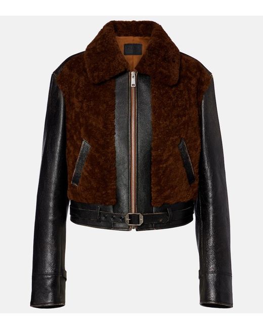 Giacca di Prada in Brown