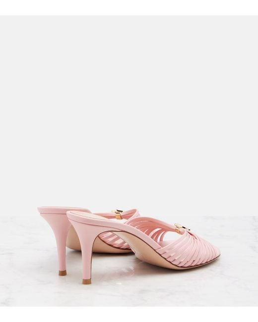Gianvito Rossi Pink Vyna 70 Leather Mules
