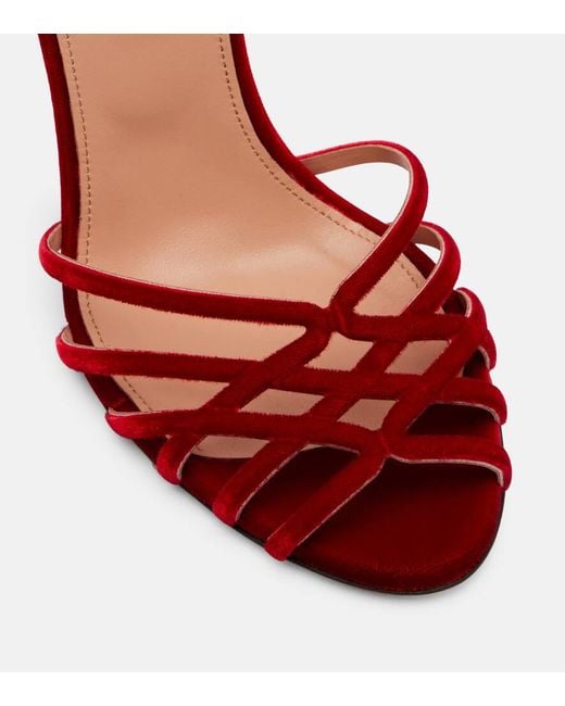 Aquazzura Red Sandalen Wild Dream 105 Aus Samt
