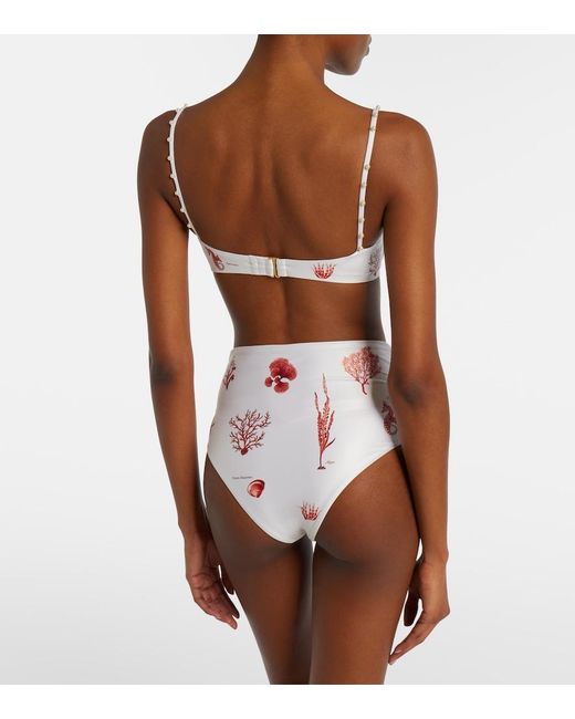 Agua Bendita Pink Magdalena Printed Bikini Bottoms