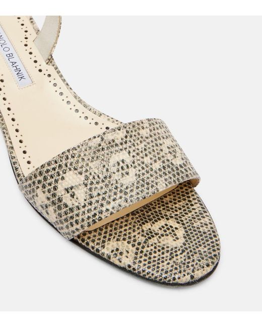 Manolo Blahnik Metallic Patobarnu 30 Lizard-Effect Leather Sandals