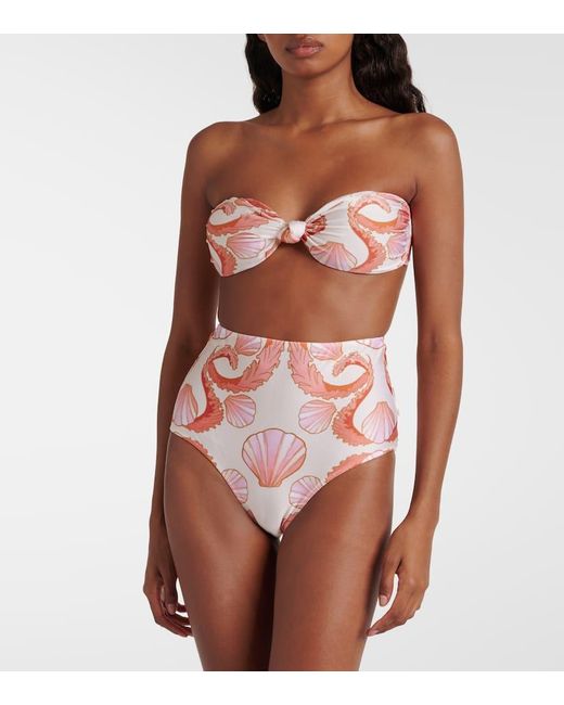 Bikini Seashell A Vita Alta di Adriana Degreas in Pink