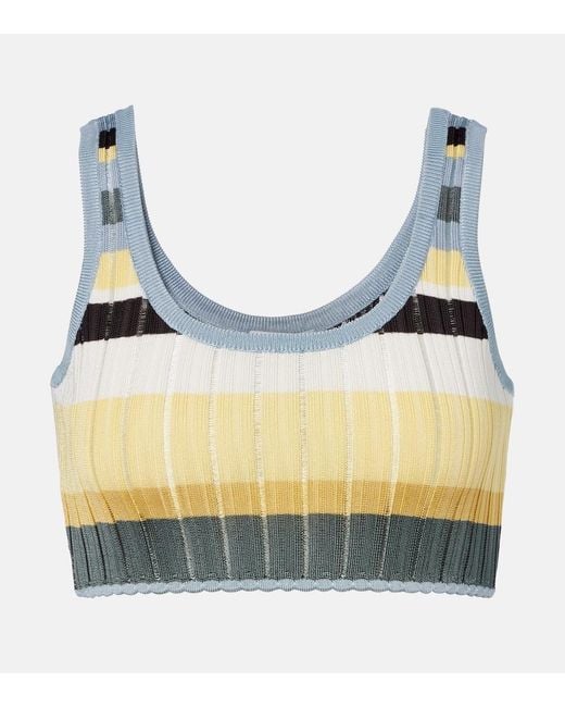 Alaïa Blue Striped Cropped Tank Top