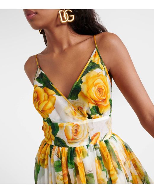 Dolce & Gabbana Metallic Floral Silk Chiffon Gown