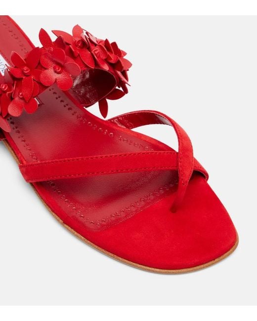 Manolo Blahnik Red Fiosa Floral-Applique Suede Sandals