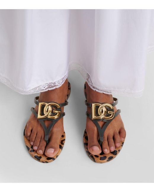 Dolce & Gabbana Brown Dg Leopard-Print Thong Sandals