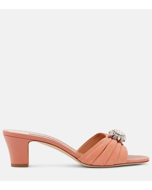 Mules Ansaklo 50 di Manolo Blahnik in Pink
