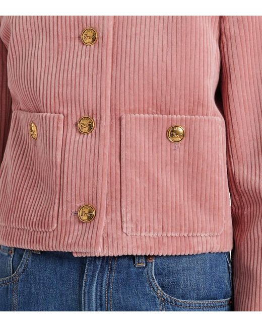 Chaqueta De Pana De Terciopelo Chloé de color Pink
