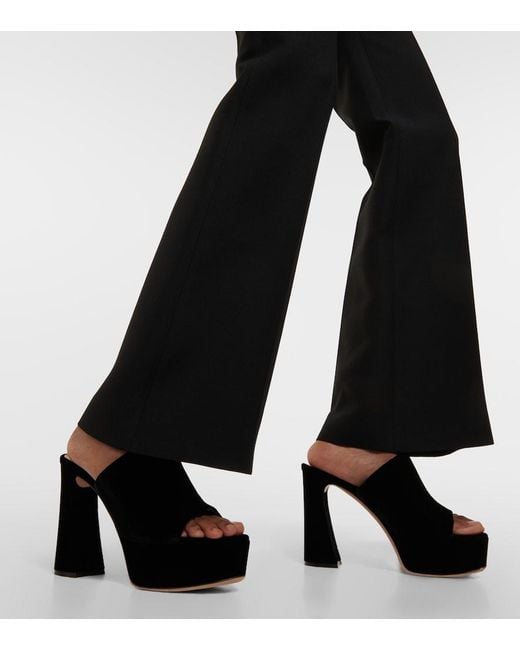 Gianvito Rossi Black Holly Velvet Platform Mules