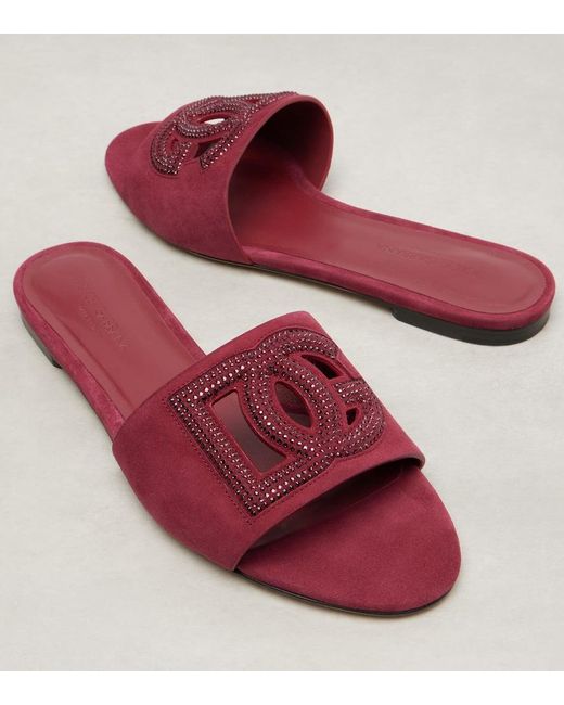 Mules Dg En Daim A Cristaux Dolce & Gabbana en coloris Purple