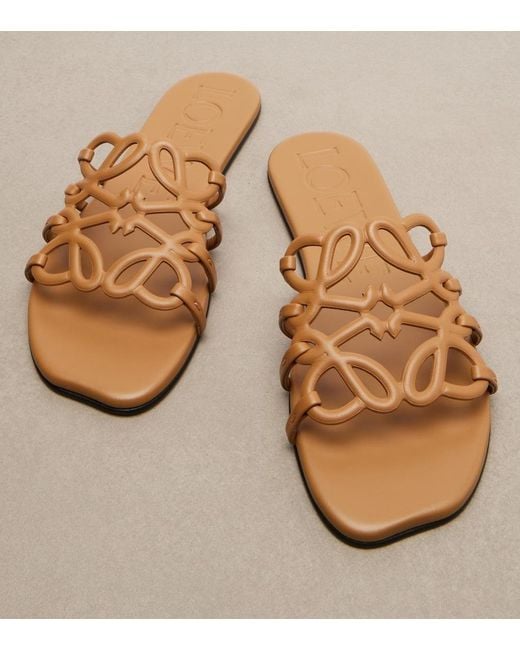 Loewe Brown Petal Anagram Leather Slides