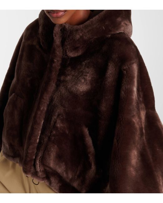 Blancha Brown Cropped Shearling Jacket