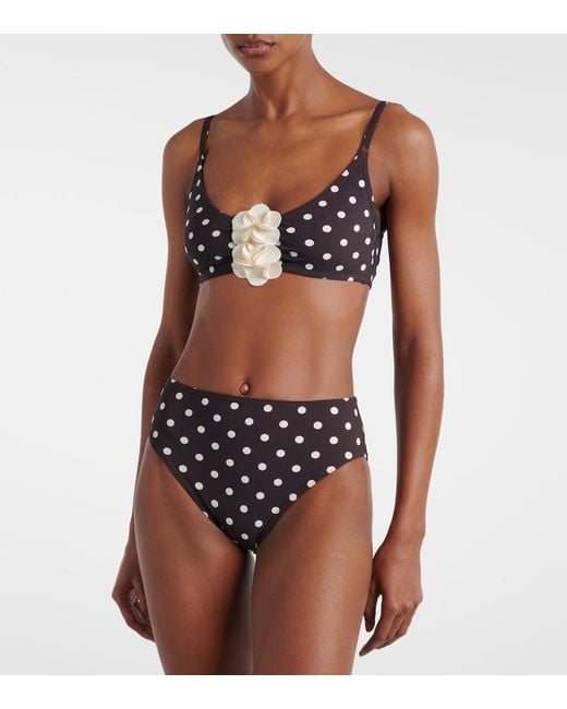 Karla Colletto Black Floral-Applique Polka-Dot Bikini Top