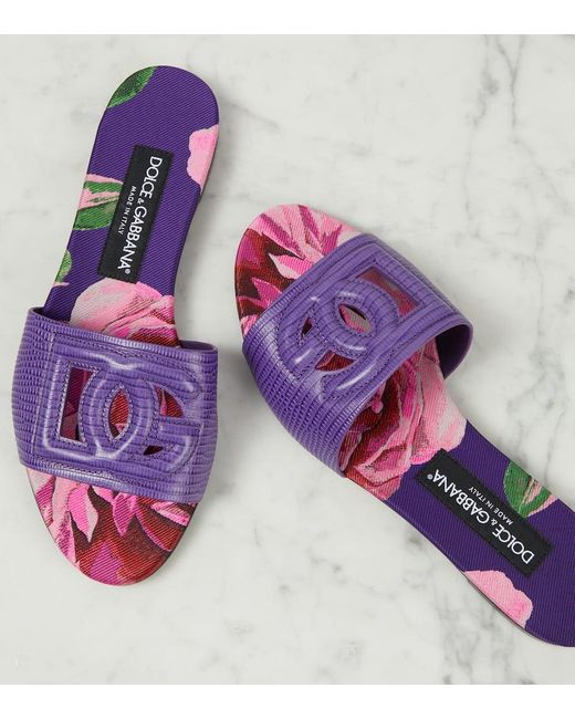 Sandali in pelle con logo di Dolce & Gabbana in Purple