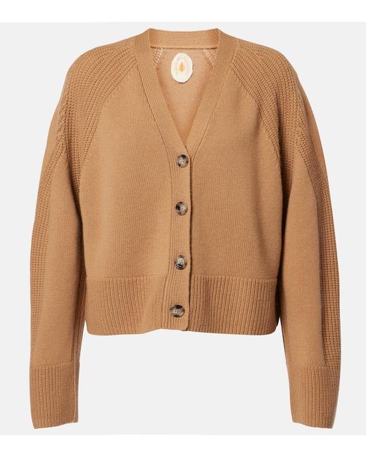 Jardin Des Orangers Brown Wool And Cashmere Cardigan