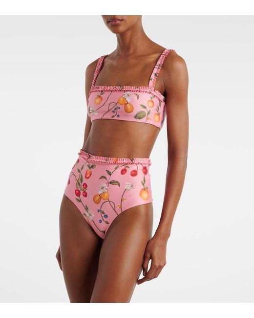 Agua Bendita Pink Nopal Printed Bikini Bottoms