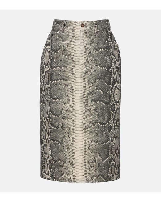 Gabriela Hearst Gray Adelaide Snake-Print Cotton Midi Skirt