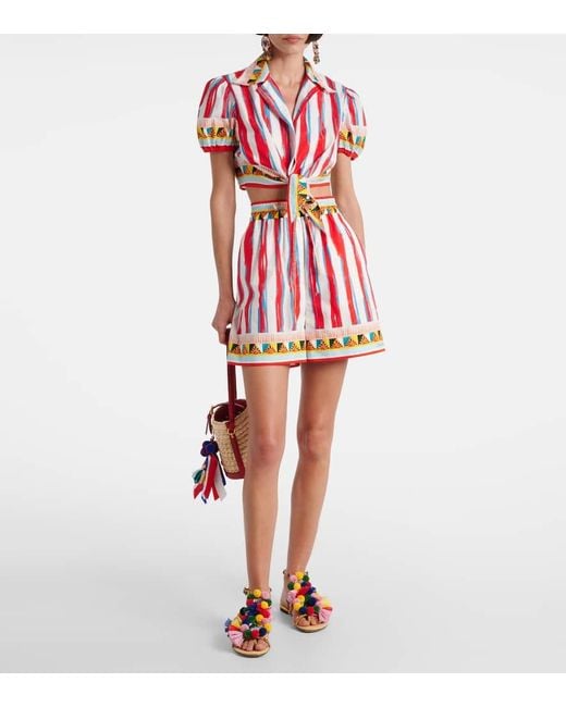 Shorts De Algodon Estampados Dolce & Gabbana de color Red
