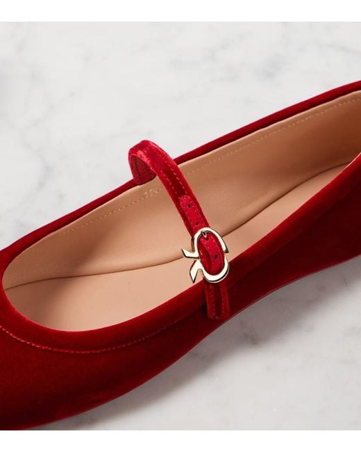 Gianvito Rossi Red Carla Velvet Mary Jane Flats