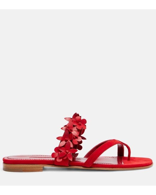 Manolo Blahnik Red Fiosa Floral-Applique Suede Sandals