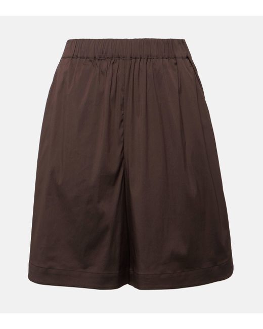 Max Mara Brown Oliveto Cotton-blend Shorts