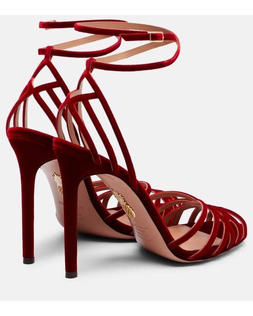 Aquazzura Red Sandalen Wild Dream 105 Aus Samt