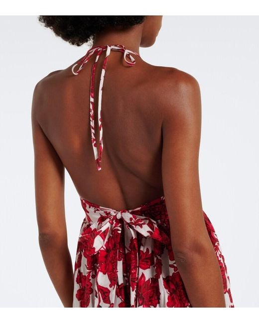 Alexandra Miro Red Clover Floral Cotton And Silk Maxi Dress