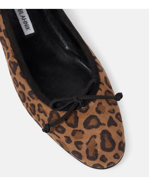 Ballerines Veralli Imprimees En Daim Manolo Blahnik en coloris Brown