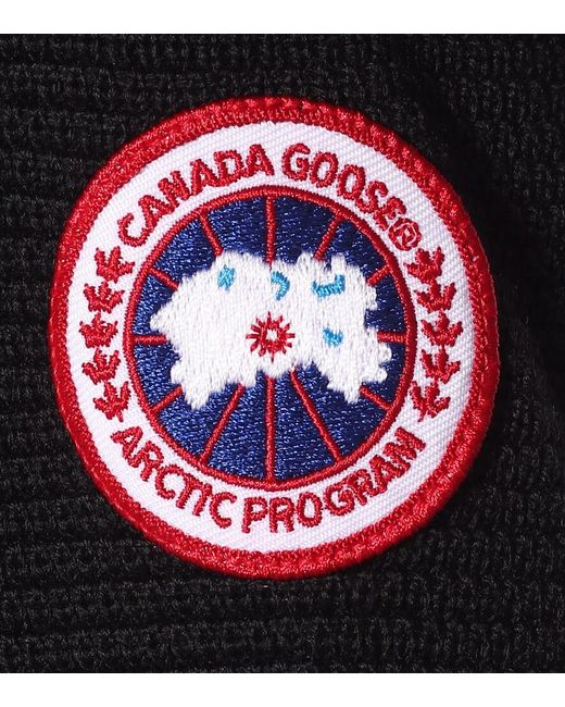 Canada Goose Black Hybridge Knit Jacket